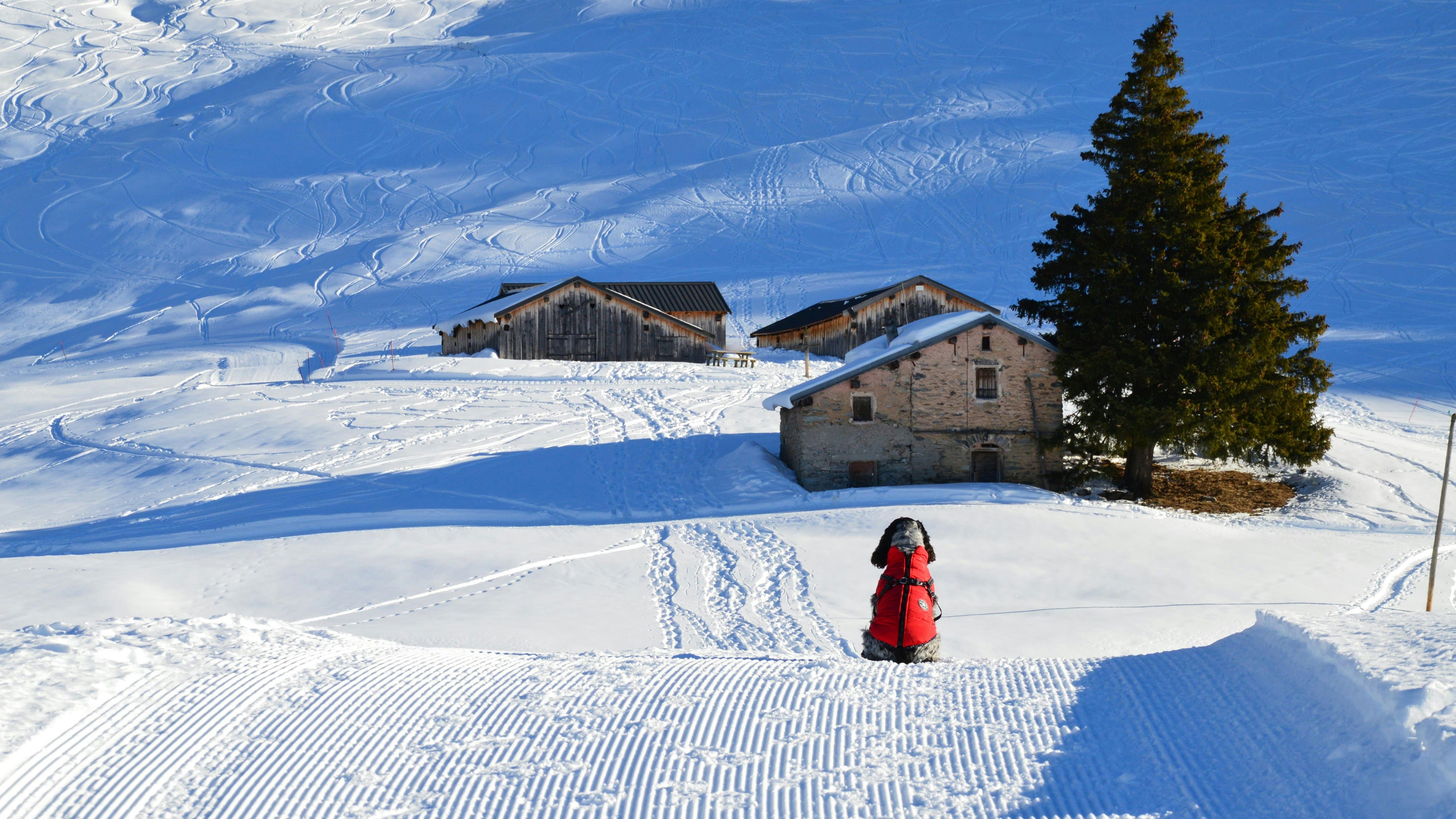 Courchevel 1850